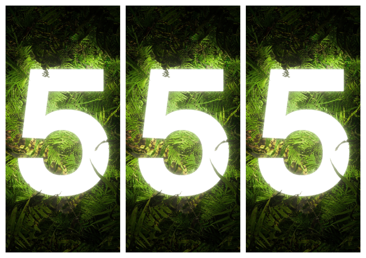 555 angyalszám