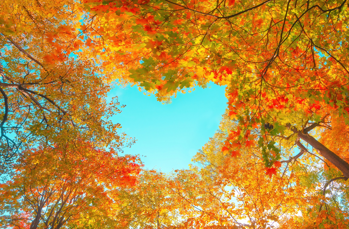 A heti szerelmi horoszkóp szeront a retrográd Merkúr visszahozhat egy szerelmet