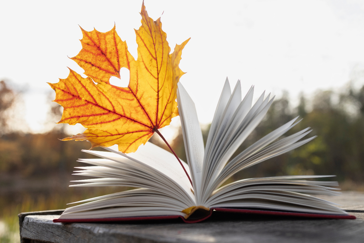 Vasárnap a Bak jegyében jár a Hold a napi horoszkóp szerint