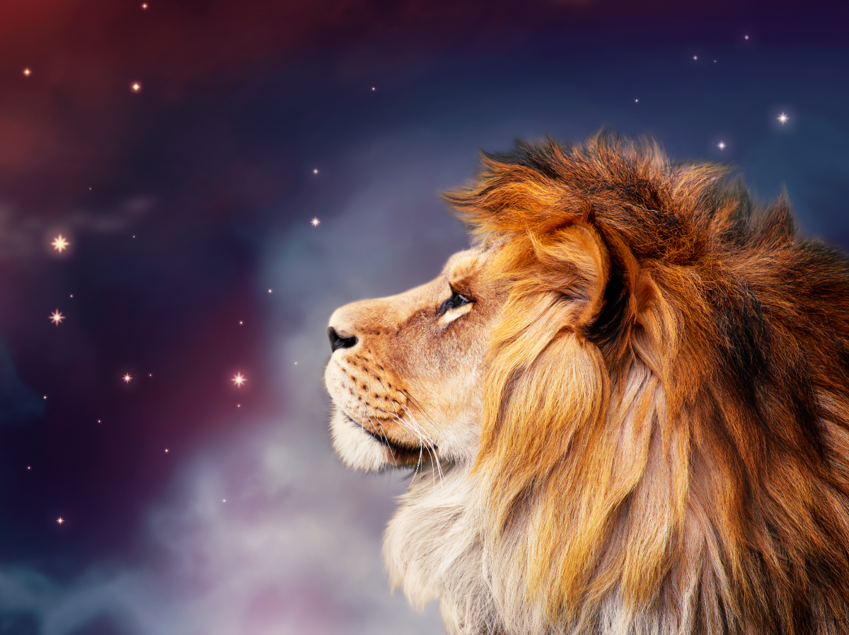 Az Oroszlán éves horoszkóp 2026 szerencsét jelez