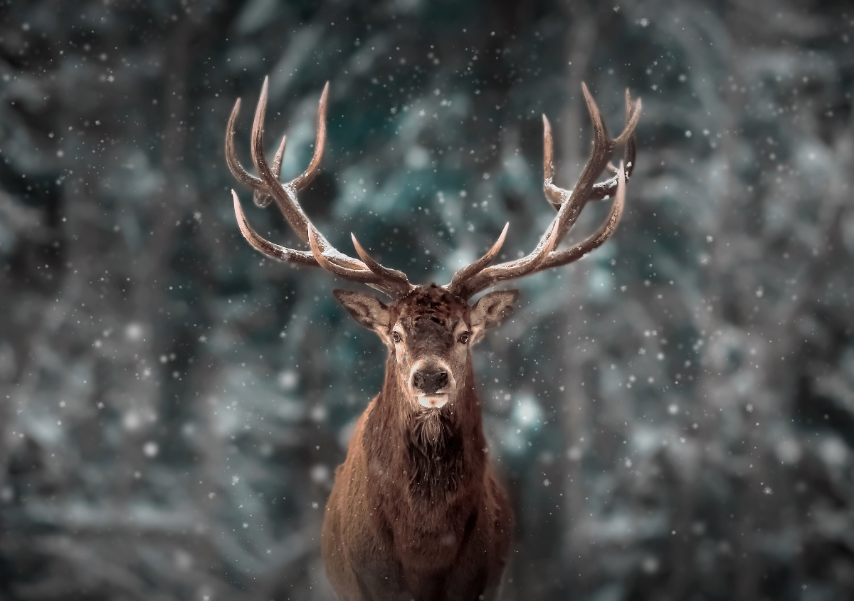 A napi horoszkóp szerint szerencsés nap a szombat