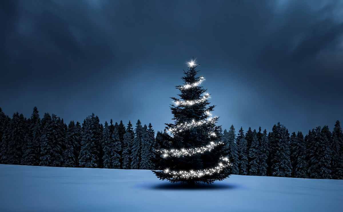 A Szenteste horoszkópja