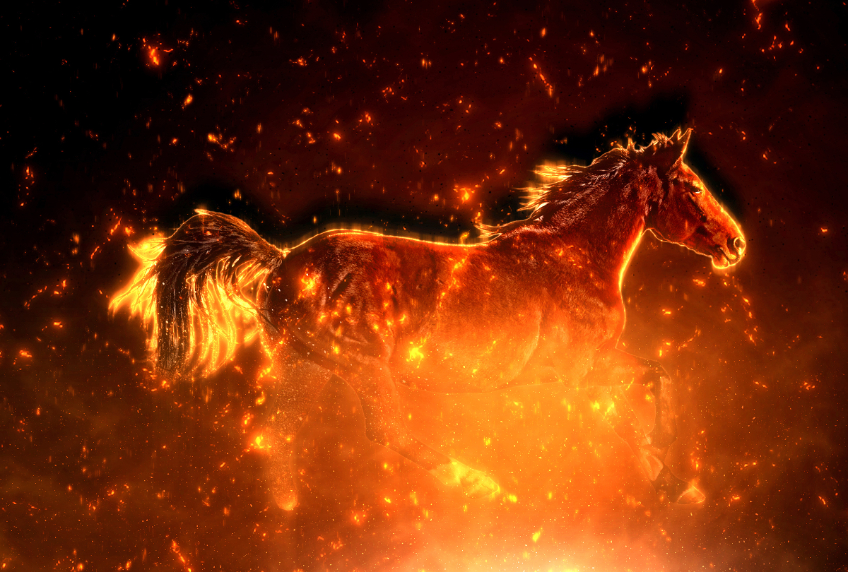 2026 a Tűz Ló éve hatalmas energiákat hoz