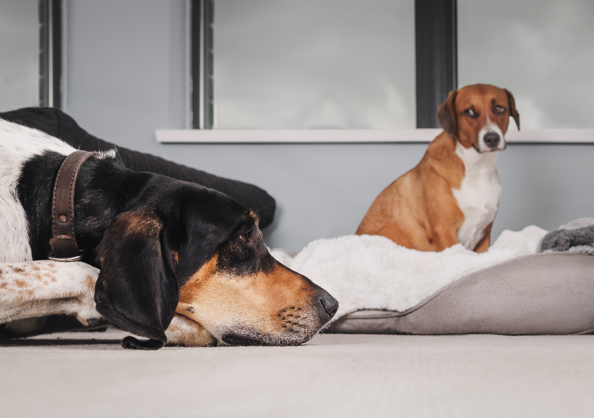 A Plútó féltékenyéget hozhat a napi horoszkóp szerint