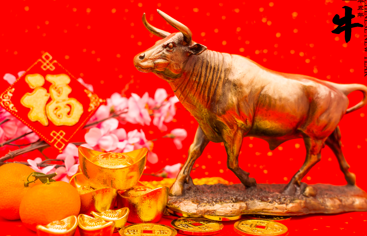 A Bivaly kínai horoszkóp 2026 nagyon jó híreket jelez