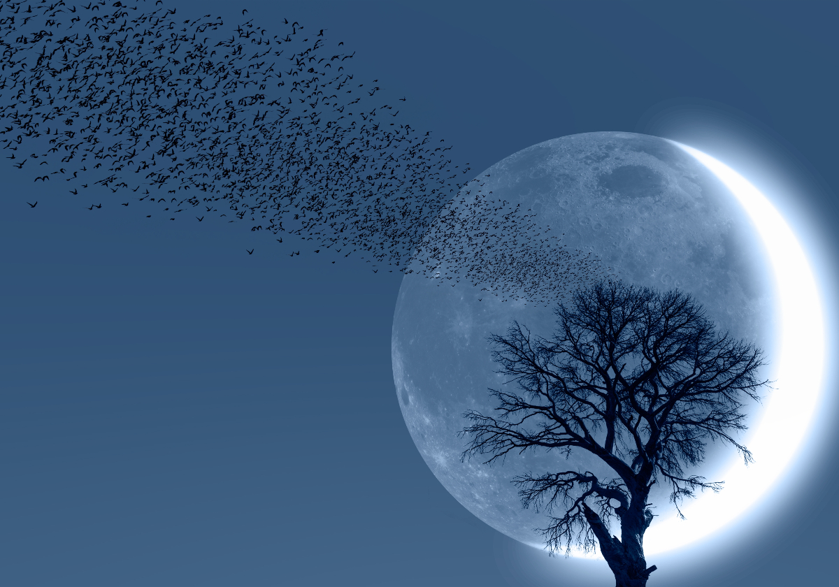 Napi horoszkóp január 18