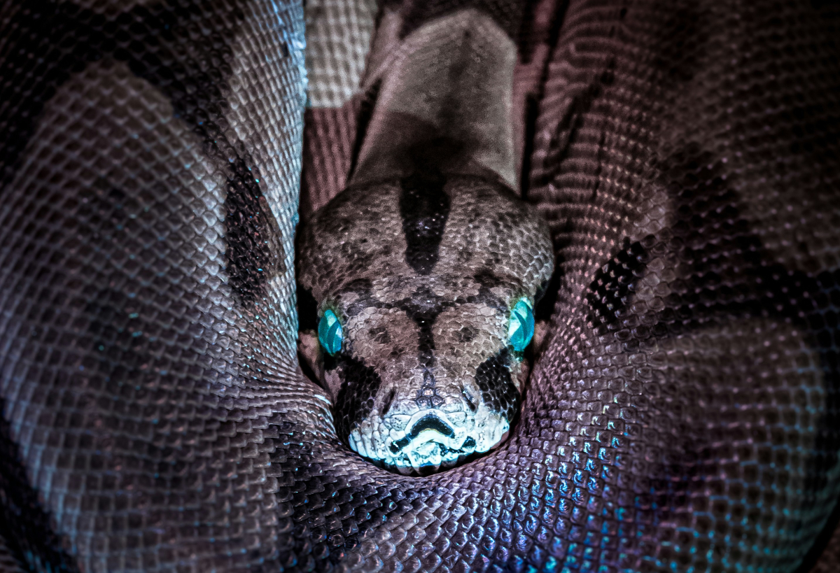 heti kínai horoszkóp