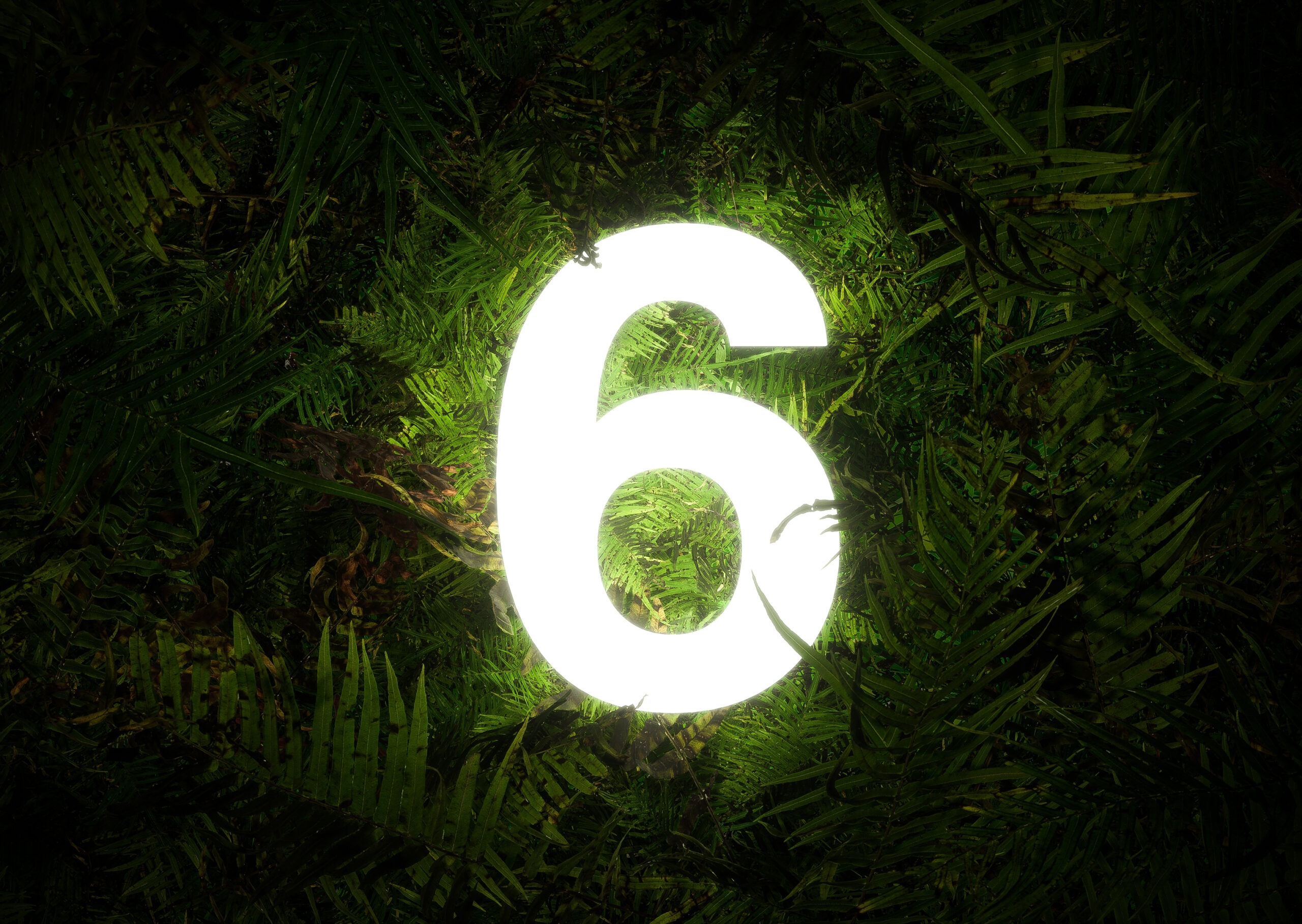 Ezt jelenti, ha a születési év utolsó számjegye 6