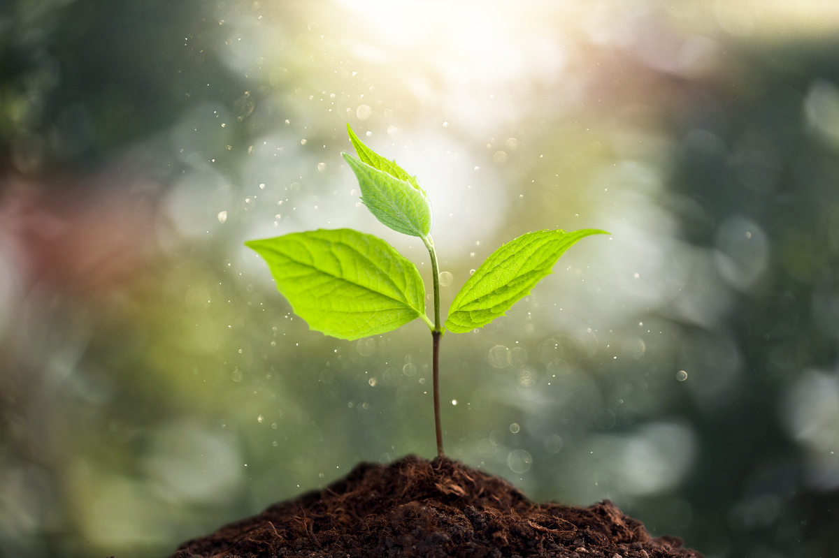 Igazi változás első jele