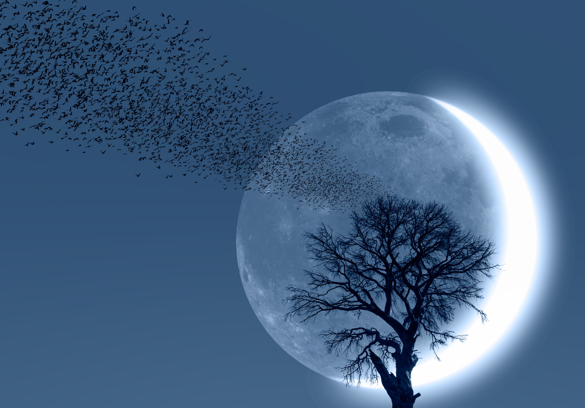 A Halak újhold gyógyító erővel bír