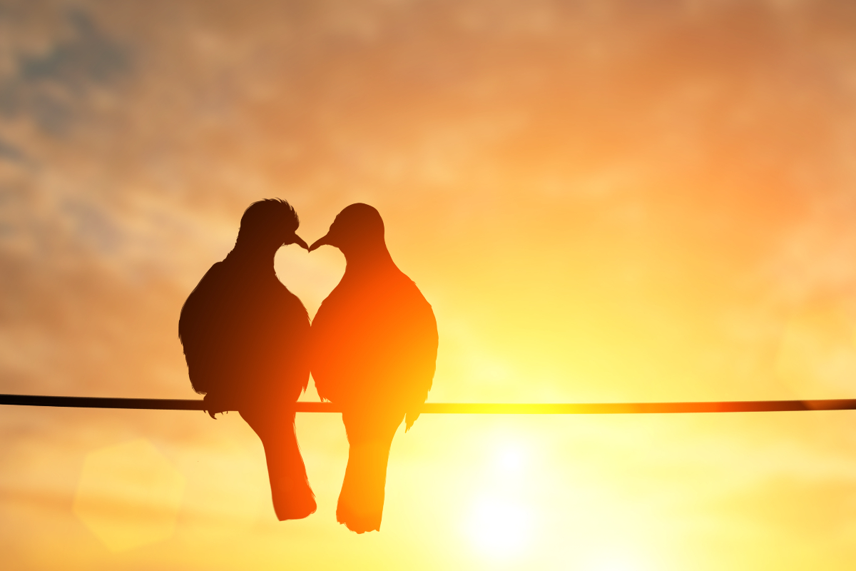 Heti szerelmi horoszkóp