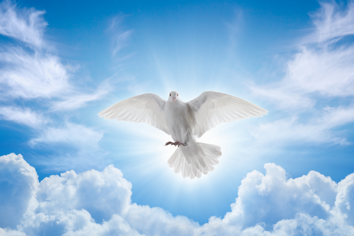 Sienai Szent Katalin április 29